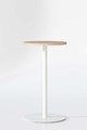 PRIMARY BAR TABLE Reva